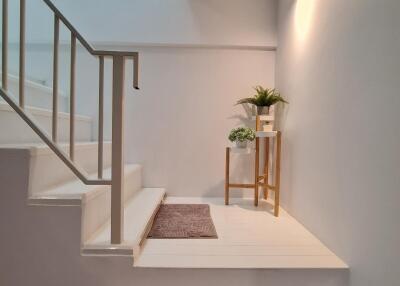 stairwell with plants and minimal decor