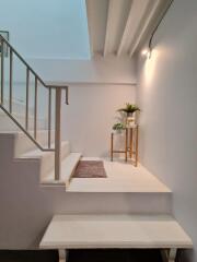 stairwell with plants and minimal decor