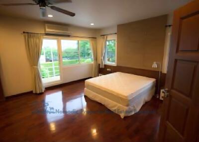 Spacious bedroom with large windows, a ceiling fan, and hardwood floors.