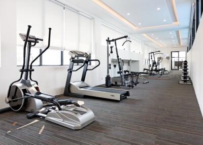 Modern gym with various exercise machines