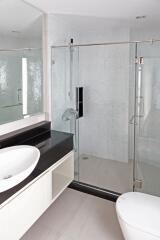 Modern bathroom with glass shower and vessel sink