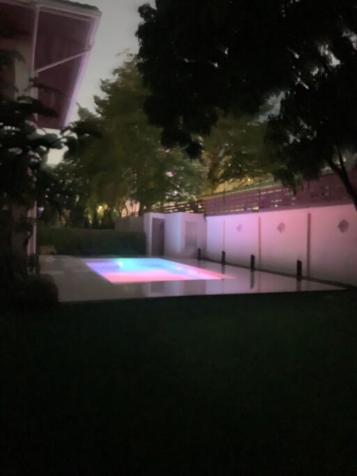 Night view of the backyard with a lit swimming pool