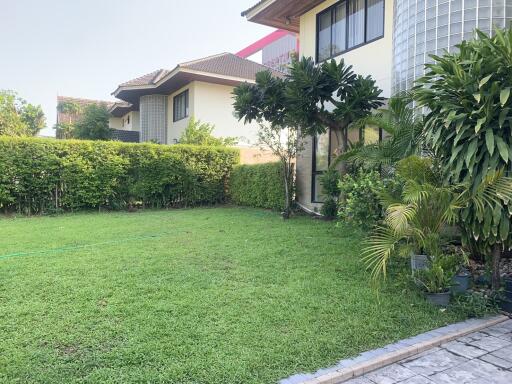 Lush garden area beside a residential house