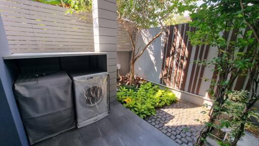 Private outdoor garden with utility storage