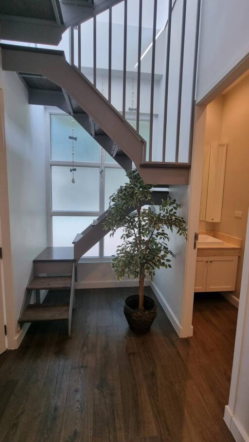 Modern hallway with a staircase and potted plant