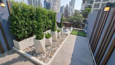 Outdoor terrace with plants and seating area in a high-rise city setting