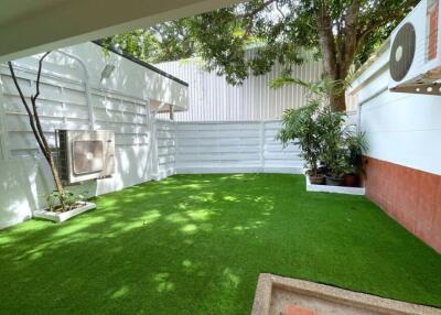 Backyard garden with artificial grass and plants