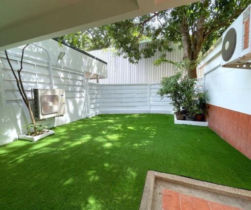 Backyard garden with artificial grass and plants