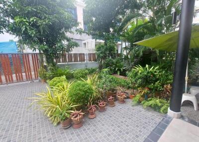 A well-maintained garden with various potted plants and greenery