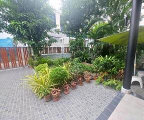 A well-maintained garden with various potted plants and greenery