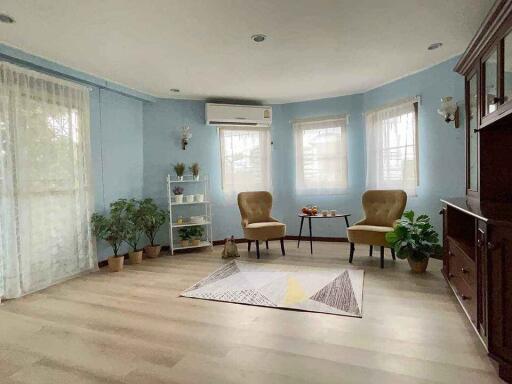 A cozy living room with blue walls, beige armchairs, and indoor plants