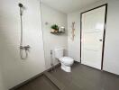 Modern bathroom with shower and toilet