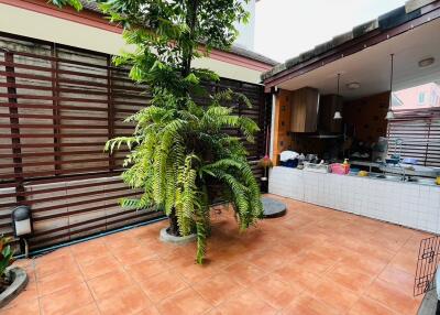 Outdoor patio with plants and adjacent kitchen