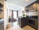 Modern kitchen and living area with black cabinetry and open layout