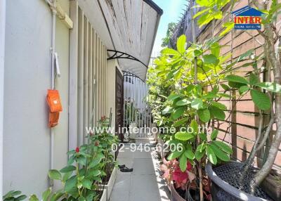 Outdoor pathway with plants and a canopy