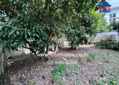 Residential garden area with trees and plants