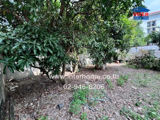 Residential garden area with trees and plants