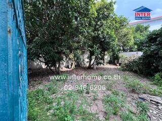 Outdoor garden area with trees and greenery