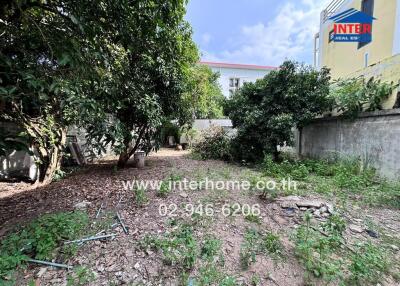 Outdoor garden area with trees and bushes