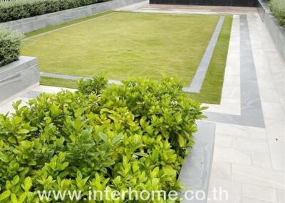 well-maintained rooftop garden with greenery and pathway