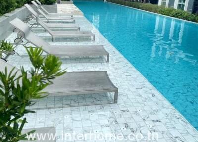 Outdoor swimming pool with lounge chairs