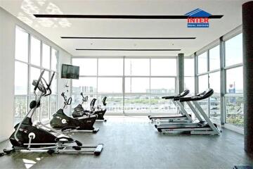 Spacious, well-lit gym with modern equipment