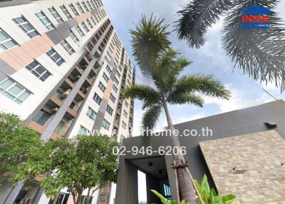 Exterior view of a modern residential building with palm trees