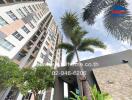 Exterior view of a modern residential building with palm trees