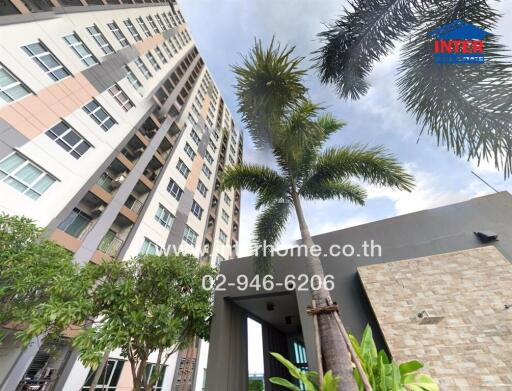 Exterior view of a modern residential building with palm trees