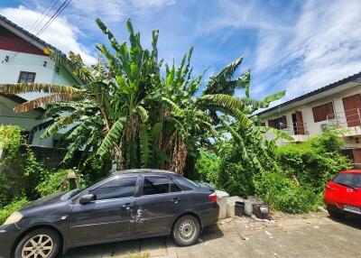 Outdoor view with parked cars and lush greenery