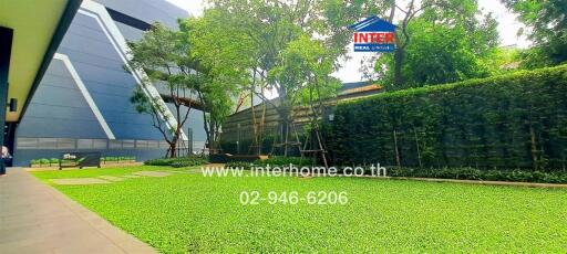 Green landscaped garden area with surrounding buildings