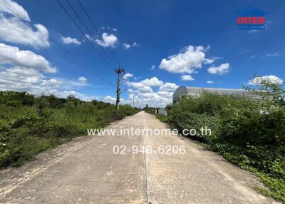 Rural road leading to a property with vegetation and a warehouse