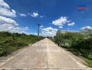 Rural road leading to a property with vegetation and a warehouse