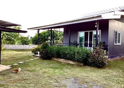 Modern single-story house with garden