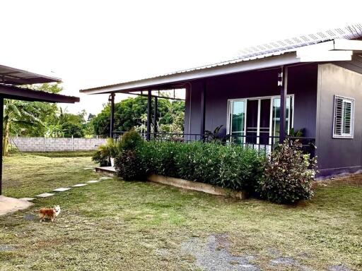 Modern single-story house with garden