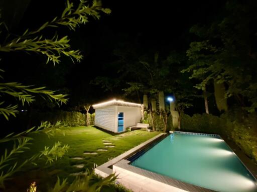 Night view of the backyard with a pool and a shed