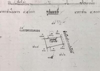 ขายที่ดินเปล่าเนื้อที่ 30 ตรว. ต.ช้างเผือก อ.เมือง จ.เชียงใหม่