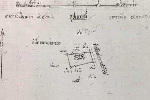 ขายที่ดินเปล่าเนื้อที่ 30 ตรว. ต.ช้างเผือก อ.เมือง จ.เชียงใหม่