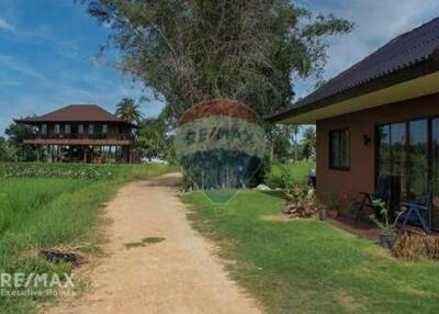 Stylish Designer Thai Style Detached House with 2 Bedrooms and Guesthouse