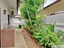 Outdoor corridor with greenery