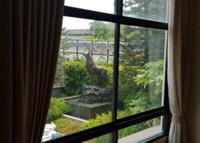 View from window with deer statue in the garden