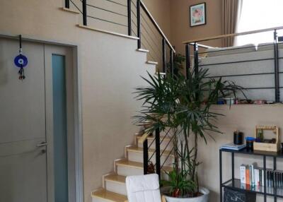 Modern living area with a staircase and indoor plant