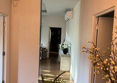 Bright hallway with decorative plants and wooden flooring