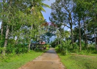 Accommodation business for sale, Ao Nam Mao, Krabi