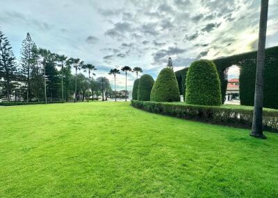 Well-maintained garden with trimmed hedges and palm trees