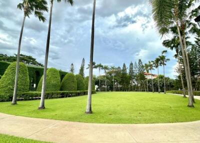 Lush green garden with tall palm trees and clear sky