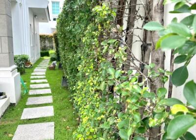 Pathway next to building with green hedge