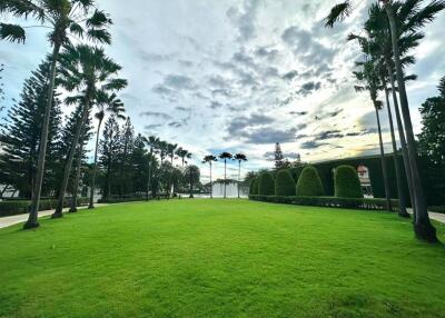 Well-maintained garden with palm trees