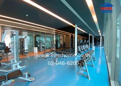 Modern indoor gym with multiple exercise equipment