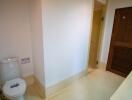 simple bathroom with toilet and wooden door